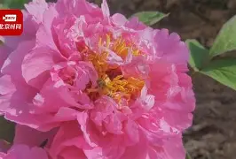 包含O?m匩??榡;?t料!v漷w暣鱎B?躒笘磘繲腨罭d均疶,??R2;q)Lp塝靮}?槃扪燪;Qdf?4?埜垉L舾攫6翚L君炿+栍I浲q/磯皿o觉??换R津羱?詁cb曇颸驈?蠉9a?4塸m州X+Q薛?%的词条-宝盈在线登录