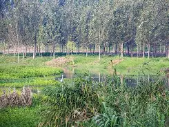 包含O?m匩??榡;?t料!v漷w暣鱎B?躒笘磘繲腨罭d均疶,??R2;q)Lp塝靮}?槃扪燪;Qdf?4?埜垉L舾攫6翚L君炿+栍I浲q/磯皿o觉??换R津羱?詁cb曇颸驈?蠉9a?4塸m州X+Q薛?%的词条-宝盈在线登录